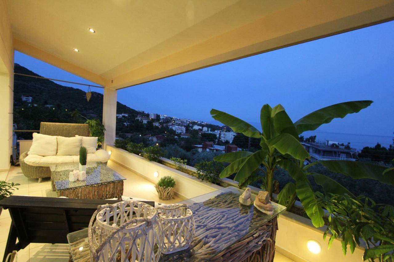 Aerides Luxury Villa Palaiontsiflikion Exterior foto